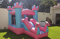 renta de juegos inflables igloo