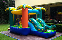 renta de juegos inflables igloo