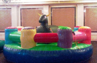 renta de juegos inflables igloo